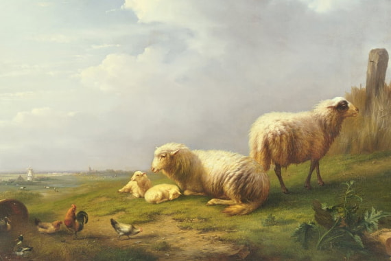 Animales de granja
