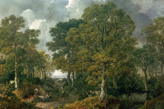 Bosque