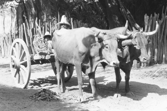 Fotografías antiguas
