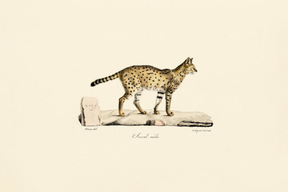 Jacques Christophe Werner