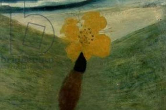 Mary Newcomb