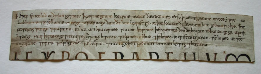 Carta de Godwine