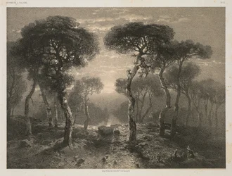 Oeuvres de A. Calame, No. 13: Forêt de Sierre en Valais, 1843 publicado 1851