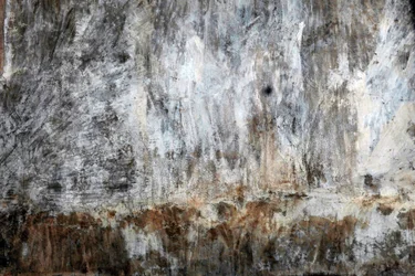 Paisaje