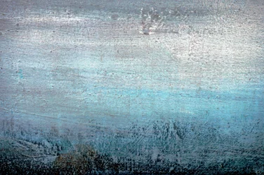 Niebla costera