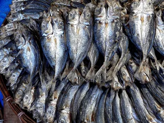 Pescado seco