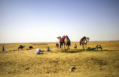 En el desierto