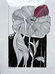 Blossom