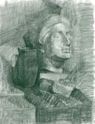 Estudio 5