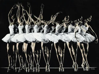 Danza Emoción