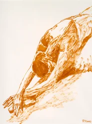 Cisne moribundo - Estudio