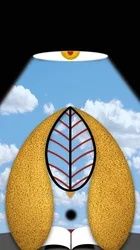 La luz pensativa