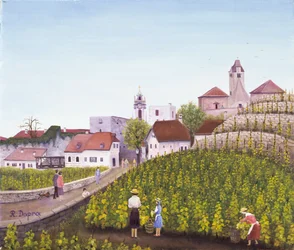 Vendimia en Dürnstein