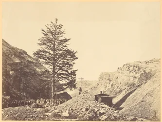 Árbol de las Mil Millas, Paso de Wilhemina