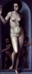 Venus Entre Dos Amores