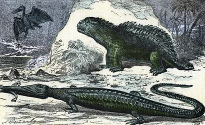 Prehistoria: representación de un teleosaurio (hocico alargado) y un hileosaurio del Jurásico" (Prehistoria, Jurásico: teleosaurio e hileosaurio) Grabado de "Nature and Man" de Rengade 1881 Colección particular