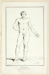 Diseño: Proporciones generales del varón, de Encyclopédie