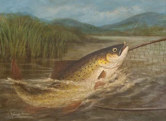 La red del pescador con mosca