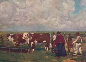 Bueyes de pedigrí en una estancia de Lemco, 1916