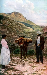Mula con barriles de agua, Sicilia, Italia