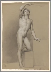 Desnudo masculino de pie, visto de frente