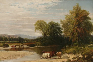 El vado