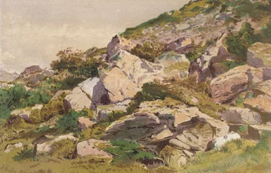 Estudio de las piedras de la ladera norte de Taliaris, cerca de Llandilo, Gales del Sur (cromolito)