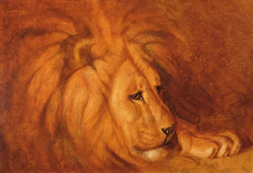 León en reposo (óleo sobre lienzo)