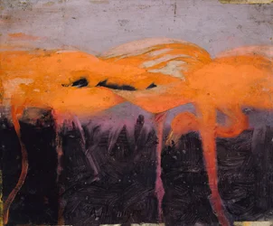 Flamencos rojos, estudio para el libro Disimulación del color en el reino animal, ca. 1905-1909