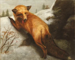 El zorro rojo, 1870
