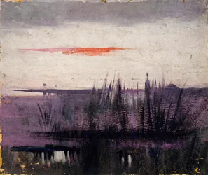 El cielo simulado por flamencos blancos estudio para libro..., en el Reino Animal, ca. 1905-1909