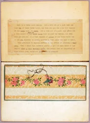 Diseño de ave en tres tonos, carpeta de estudios para el libro «Concealing Coloration in the Animal Kingdom»
