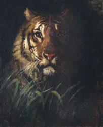 Cabeza de tigre, ca. 1874