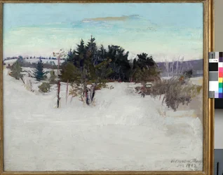 Paisaje de invierno