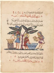 Folio de una traducción árabe de la Materia Médica de Dioscórides, 1224