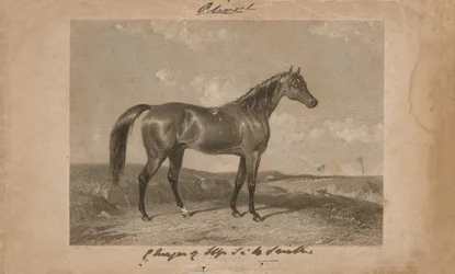 Aliwal, la propiedad de Sir Harry Smith, Bart