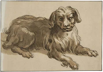 Perro de pelo largo