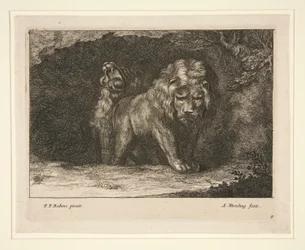 Leones. de la serie