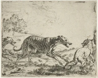 zorro y los tres perros