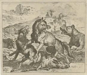 Lobo atacado por perros Diferentes animales (título de la serie)