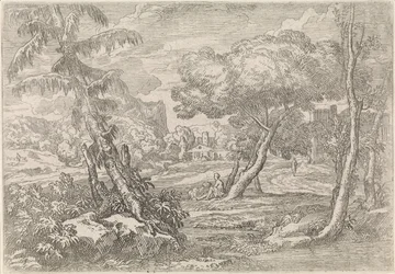 paisaje boscoso
