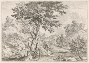 paisaje montañoso con rocas