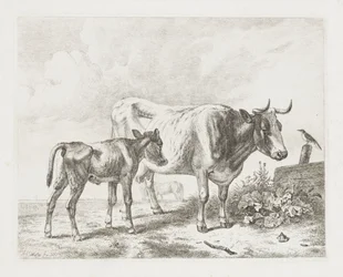 Vaca y ternero en un prado