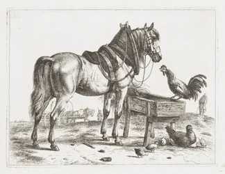 Caballo en un comedero