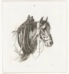 Cabeza de caballo con brida, arnés y silla de montar