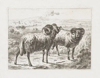 dos carneros