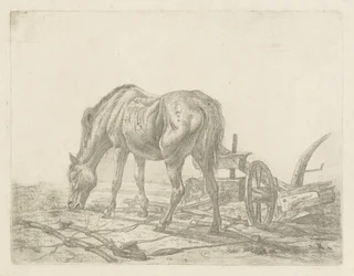 Caballo sin entrenar con un arado