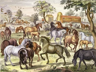 Caballos en libertad, lámina 11 de 