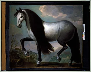 Caballo en un paisaje