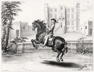 Ilustración de un Manual de Equitación, grabado por Peeter Clouwet (1629-70), 1658